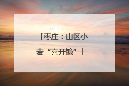 枣庄：山区小麦“喜开镰”