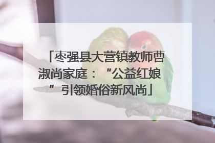 枣强县大营镇教师曹淑尚家庭：“公益红娘”引领婚俗新风尚