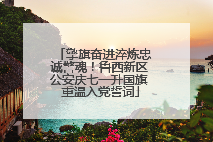 擎旗奋进淬炼忠诚警魂！鲁西新区公安庆七一升国旗 重温入党誓词