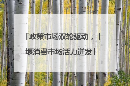 政策市场双轮驱动，十堰消费市场活力迸发