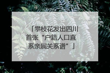 攀枝花发出四川首张“户籍人口直系亲属关系谱”