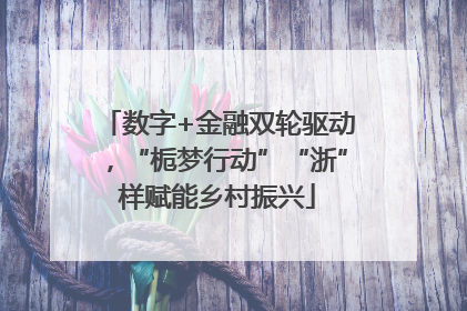 数字+金融双轮驱动，“栀梦行动”“浙”样赋能乡村振兴