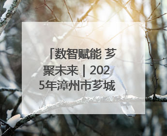 数智赋能 芗聚未来｜2025年漳州市芗城区招商引资推介暨“一县一桌菜·语堂家宴”发布会成功举办