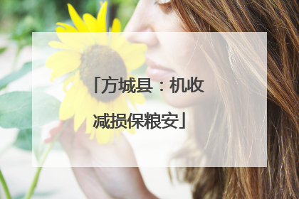 方城县：机收减损保粮安
