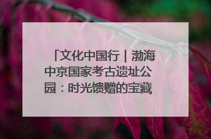 文化中国行｜渤海中京国家考古遗址公园：时光馈赠的宝藏 历史凝固的诗篇