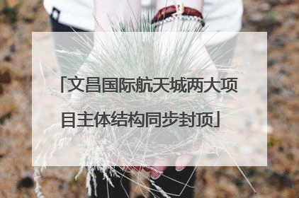 文昌国际航天城两大项目主体结构同步封顶