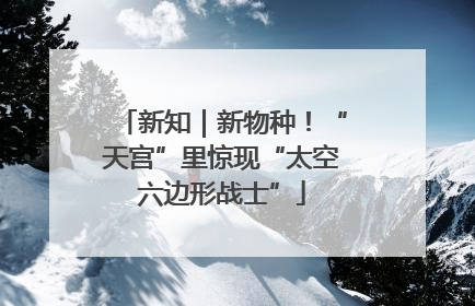 新知｜新物种！“天宫”里惊现“太空六边形战士”