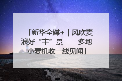 新华全媒+｜风吹麦浪好“丰”景——多地小麦机收一线见闻