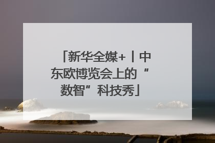 新华全媒+丨中东欧博览会上的“数智”科技秀