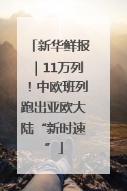 新华鲜报｜11万列！中欧班列跑出亚欧大陆“新时速”