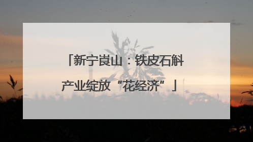 新宁崀山：铁皮石斛产业绽放“花经济”