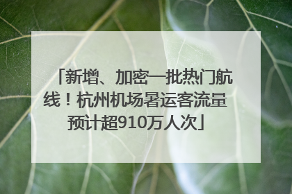 新增、加密一批热门航线！杭州机场暑运客流量预计超910万人次