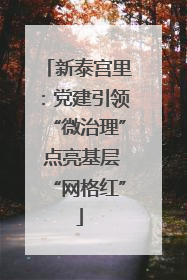 新泰宫里：党建引领“微治理” 点亮基层“网格红”