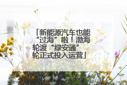 新能源汽车也能“过海”啦！渤海轮渡“绿安通” 轮正式投入运营