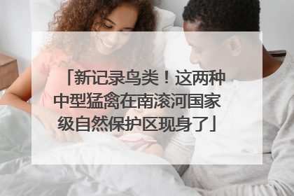 新记录鸟类！这两种中型猛禽在南滚河国家级自然保护区现身了