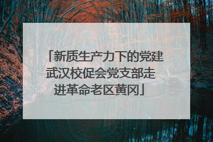 新质生产力下的党建 武汉校促会党支部走进革命老区黄冈