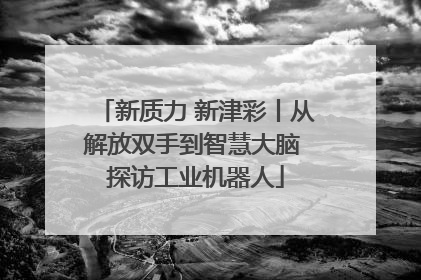 新质力 新津彩丨从解放双手到智慧大脑 探访工业机器人