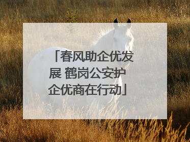 春风助企优发展 鹤岗公安护企优商在行动