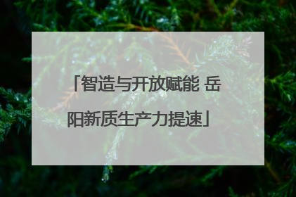 智造与开放赋能 岳阳新质生产力提速