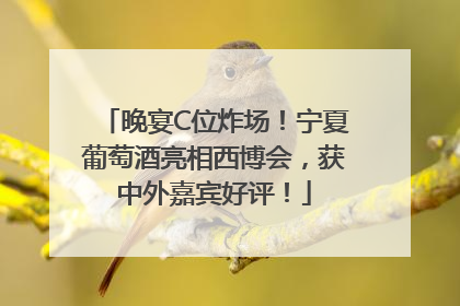 晚宴C位炸场！宁夏葡萄酒亮相西博会，获中外嘉宾好评！