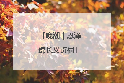 晚潮｜恩泽绵长义贞祠