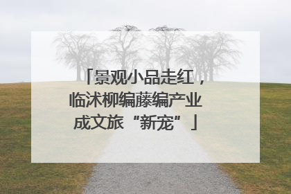 景观小品走红，临沭柳编藤编产业成文旅“新宠”