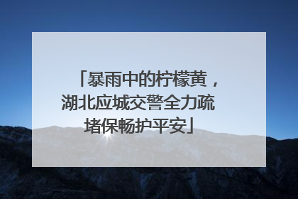 暴雨中的柠檬黄，湖北应城交警全力疏堵保畅护平安