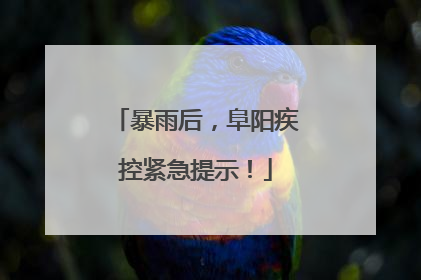 暴雨后，阜阳疾控紧急提示！