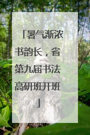 暑气渐浓书韵长，省第九届书法高研班开班