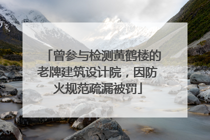 曾参与检测黄鹤楼的老牌建筑设计院，因防火规范疏漏被罚