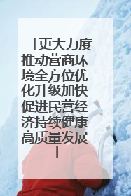 更大力度推动营商环境全方位优化升级加快促进民营经济持续健康高质量发展
