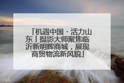 机遇中国・活力山东丨摄影大师聚焦临沂新明辉商城，展现商贸物流新风貌