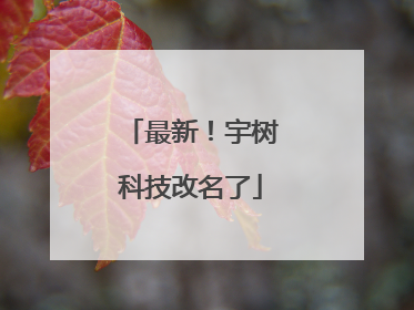 最新！宇树科技改名了