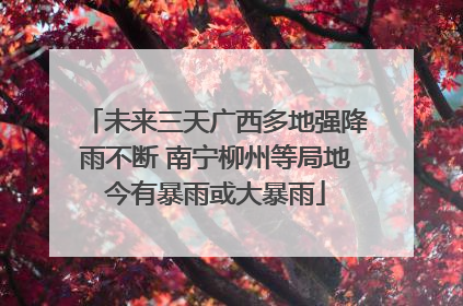 未来三天广西多地强降雨不断 南宁柳州等局地今有暴雨或大暴雨