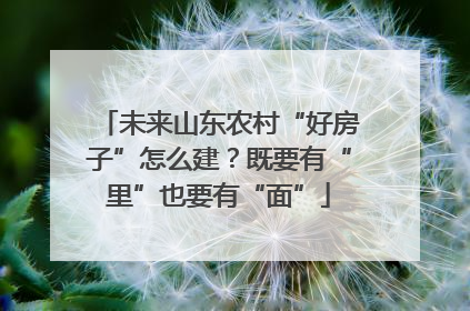 未来山东农村“好房子”怎么建？既要有“里”也要有“面”
