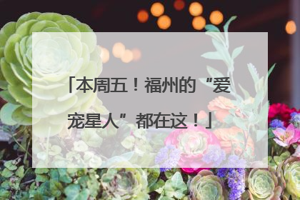 本周五！福州的“爱宠星人”都在这！