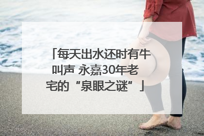 每天出水还时有牛叫声 永嘉30年老宅的“泉眼之谜”