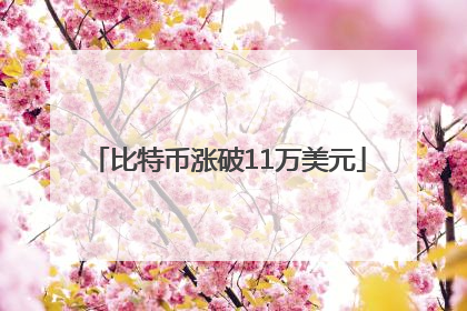 比特币涨破11万美元