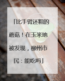 比手臂还粗的蘑菇！在玉米地被发现，柳州市民：能吃吗
