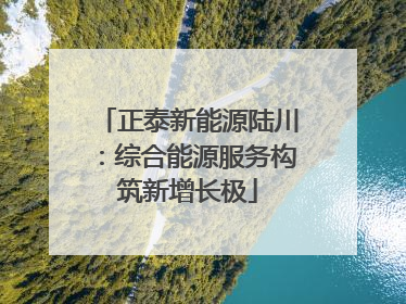 正泰新能源陆川：综合能源服务构筑新增长极