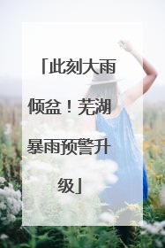 此刻大雨倾盆！芜湖暴雨预警升级