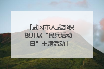 武冈市人武部积极开展“民兵活动日”主题活动