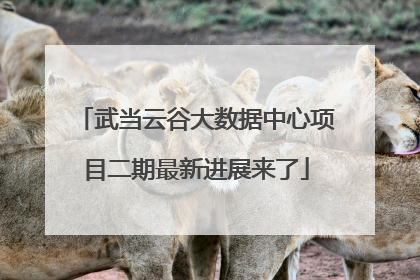 武当云谷大数据中心项目二期最新进展来了