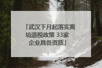 武汉下月起落实离境退税政策 33家企业具备资质