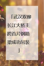 武汉双柳长江大桥主跨首片钢箱梁成功吊装
