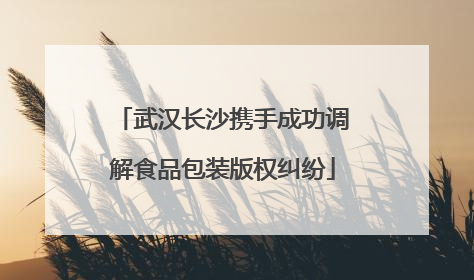 武汉长沙携手成功调解食品包装版权纠纷