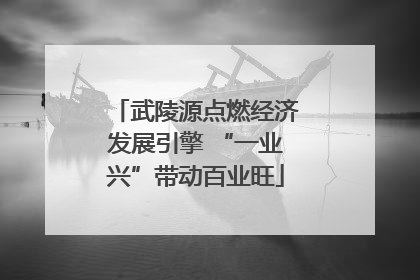 武陵源点燃经济发展引擎 “一业兴”带动百业旺