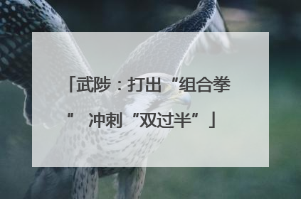 武陟：打出“组合拳” 冲刺“双过半”