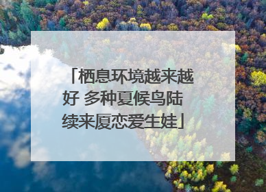 栖息环境越来越好 多种夏候鸟陆续来厦恋爱生娃
