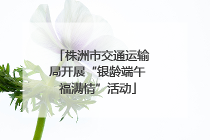 株洲市交通运输局开展“银龄端午福满情”活动